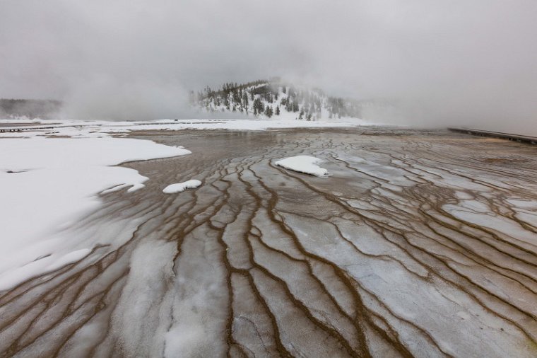 37 Yellowstone NP.jpg